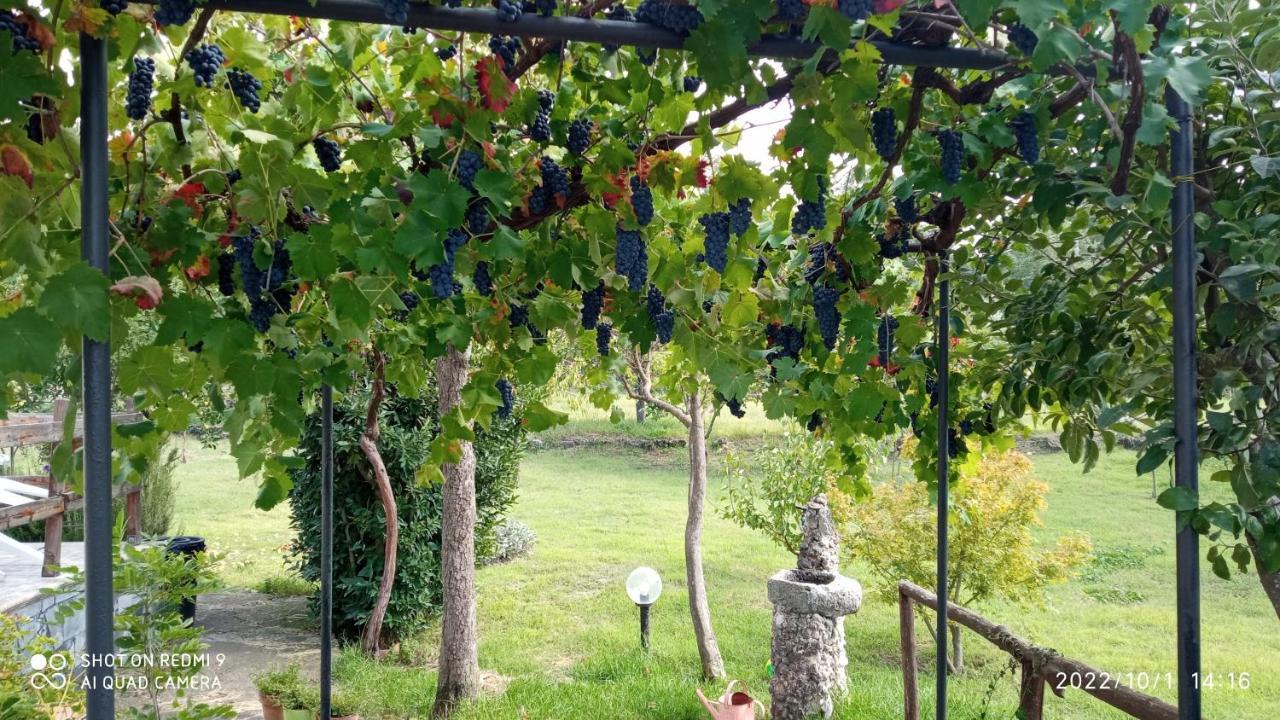 Etna, Salvia E Rosmarino Villa Maletto Ngoại thất bức ảnh